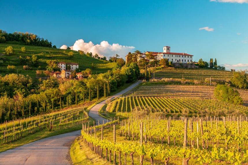 The wines of Friuli: exploring terroir, grape varieties and perfect pairings